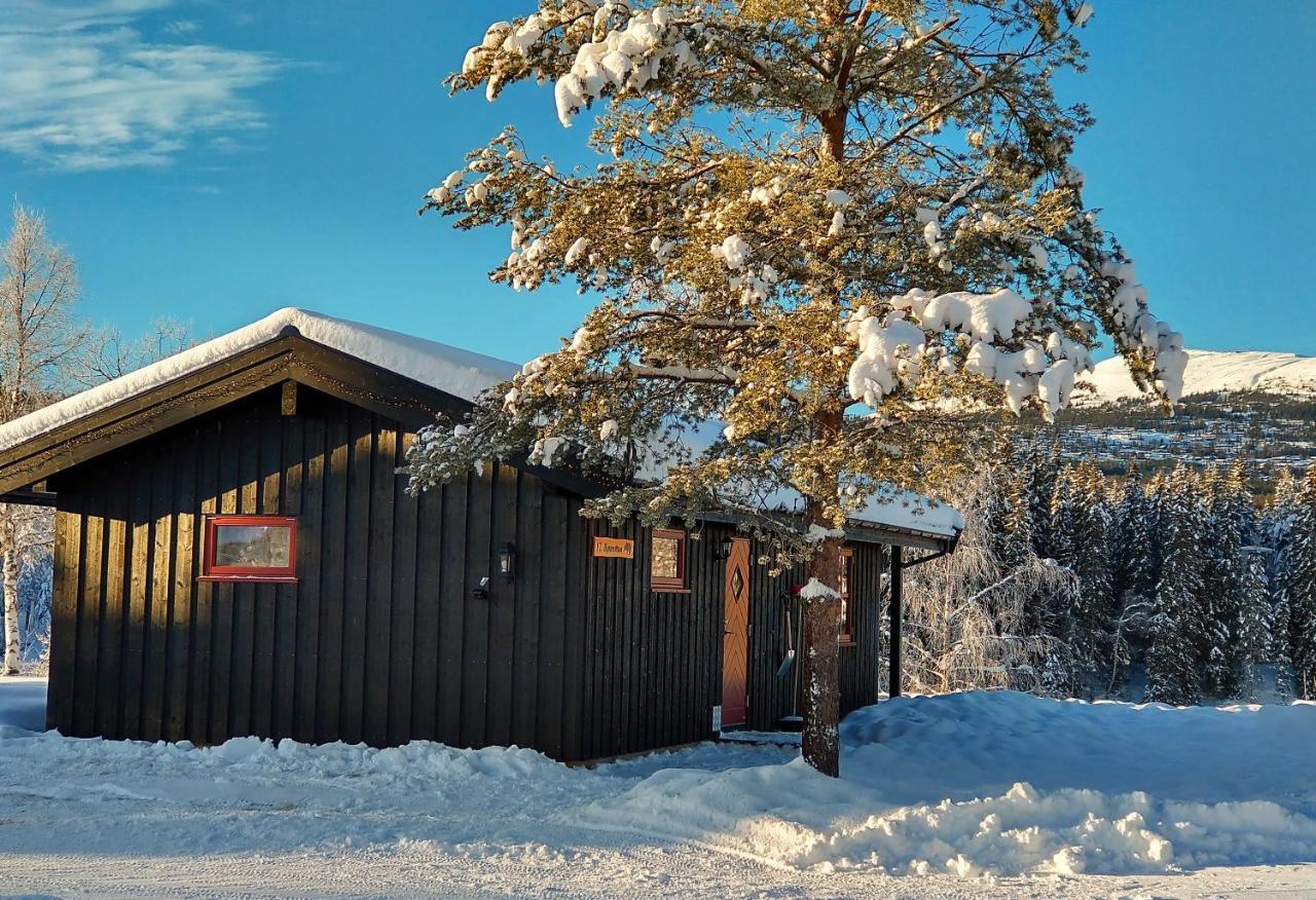 Trysil Hyttegrend エクステリア 写真