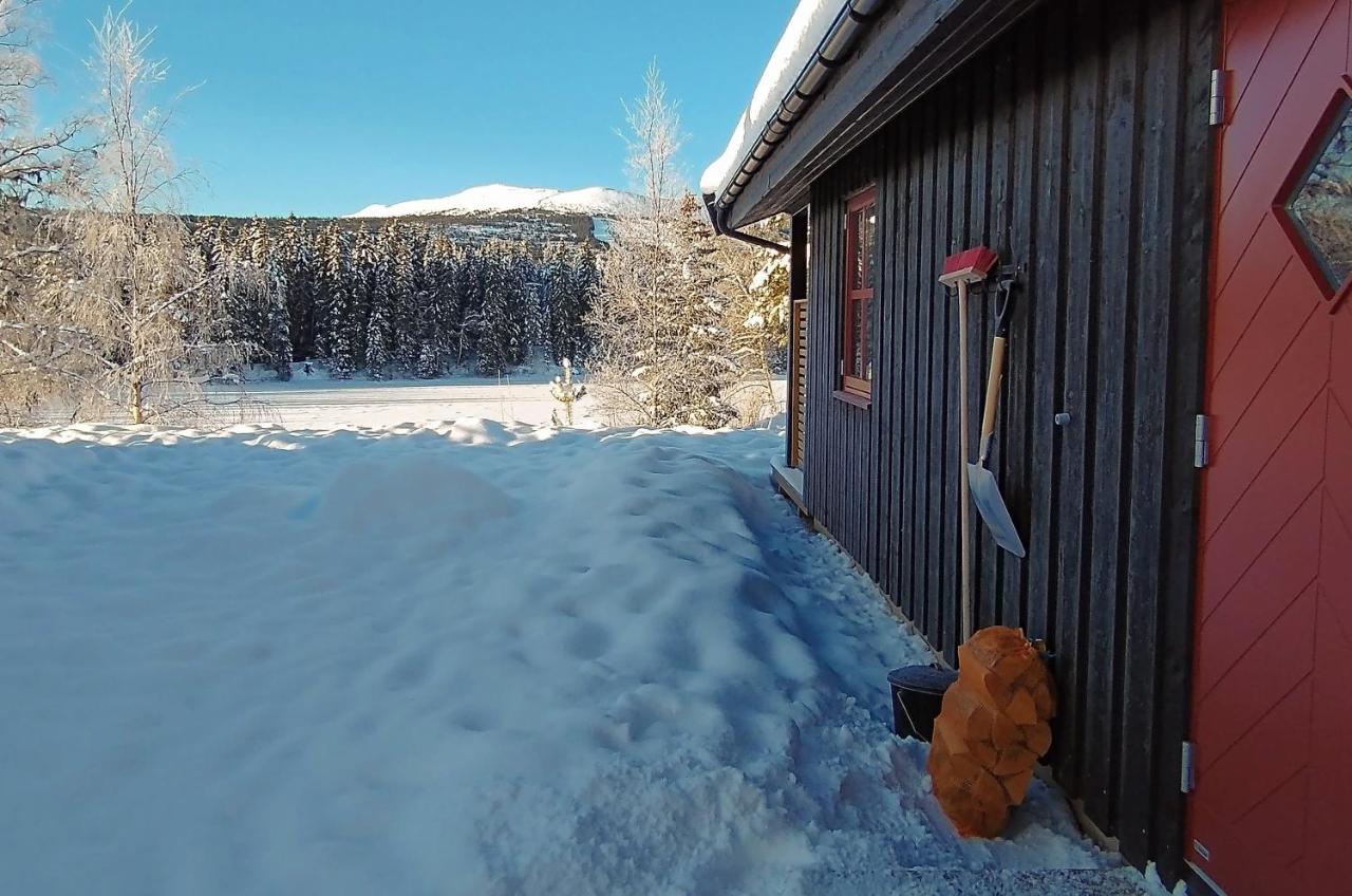 Trysil Hyttegrend エクステリア 写真