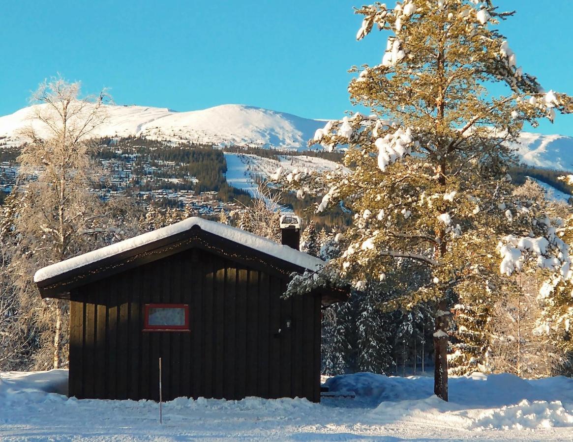 Trysil Hyttegrend エクステリア 写真
