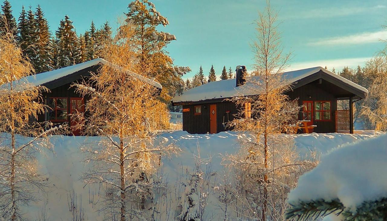 Trysil Hyttegrend エクステリア 写真