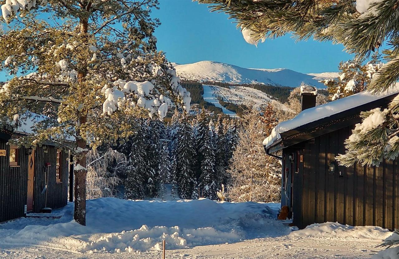 Trysil Hyttegrend エクステリア 写真