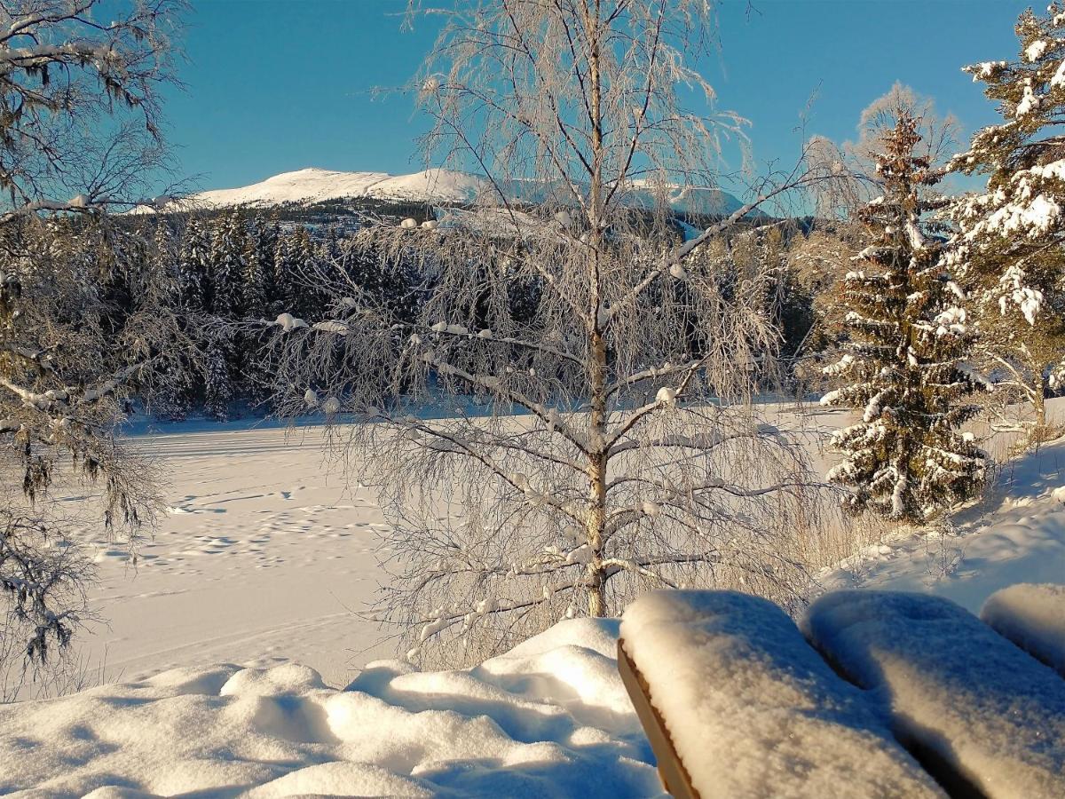 Trysil Hyttegrend エクステリア 写真