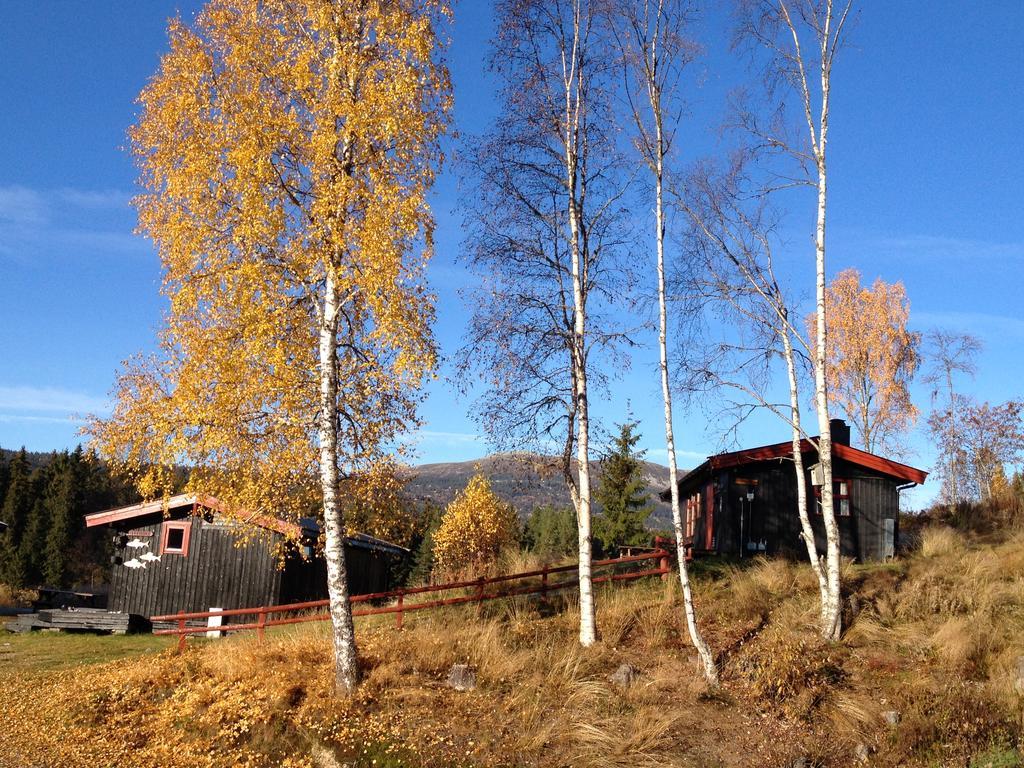 Trysil Hyttegrend エクステリア 写真