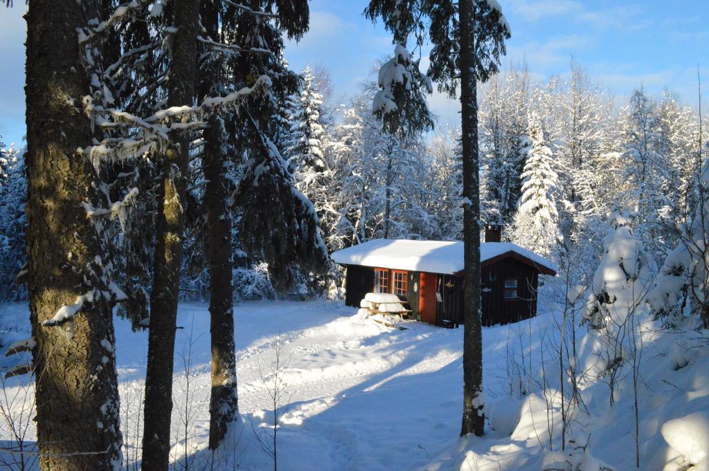 Trysil Hyttegrend エクステリア 写真
