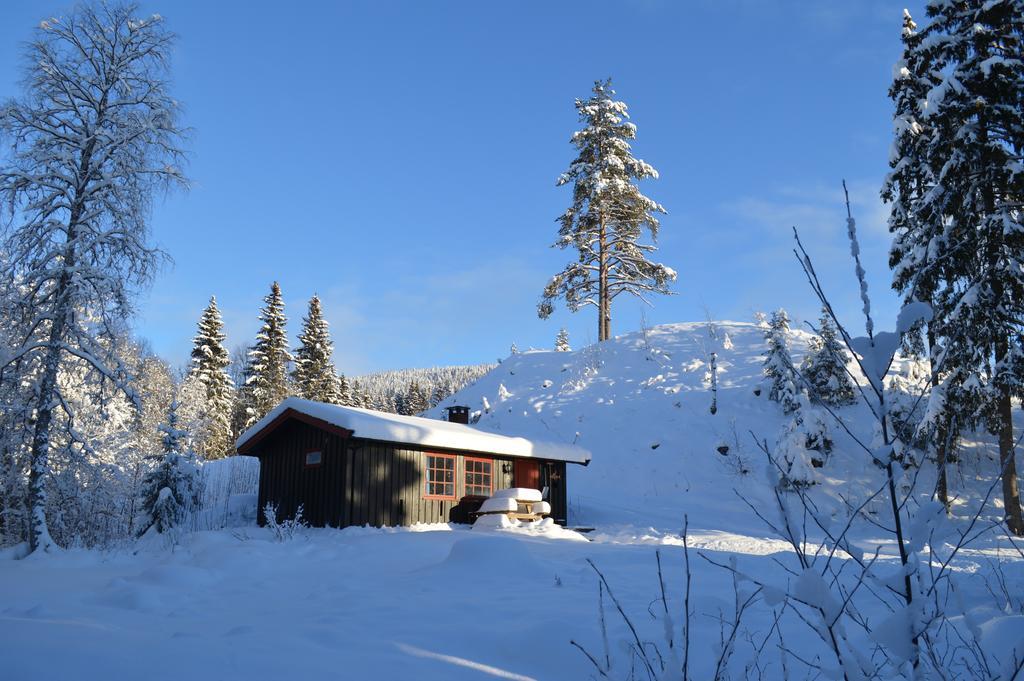 Trysil Hyttegrend エクステリア 写真