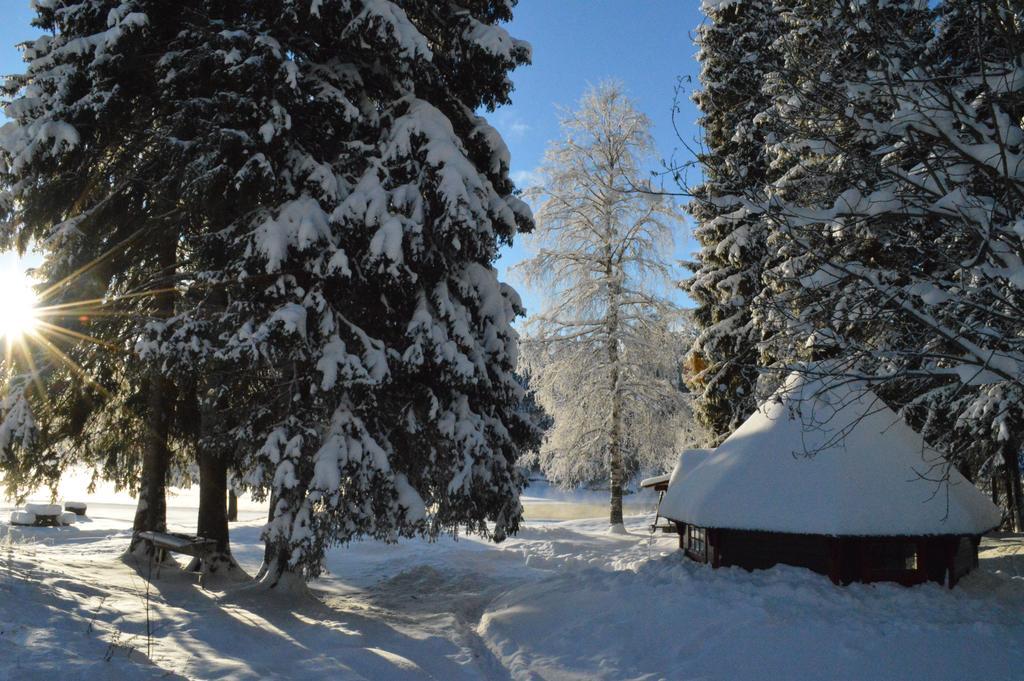 Trysil Hyttegrend エクステリア 写真