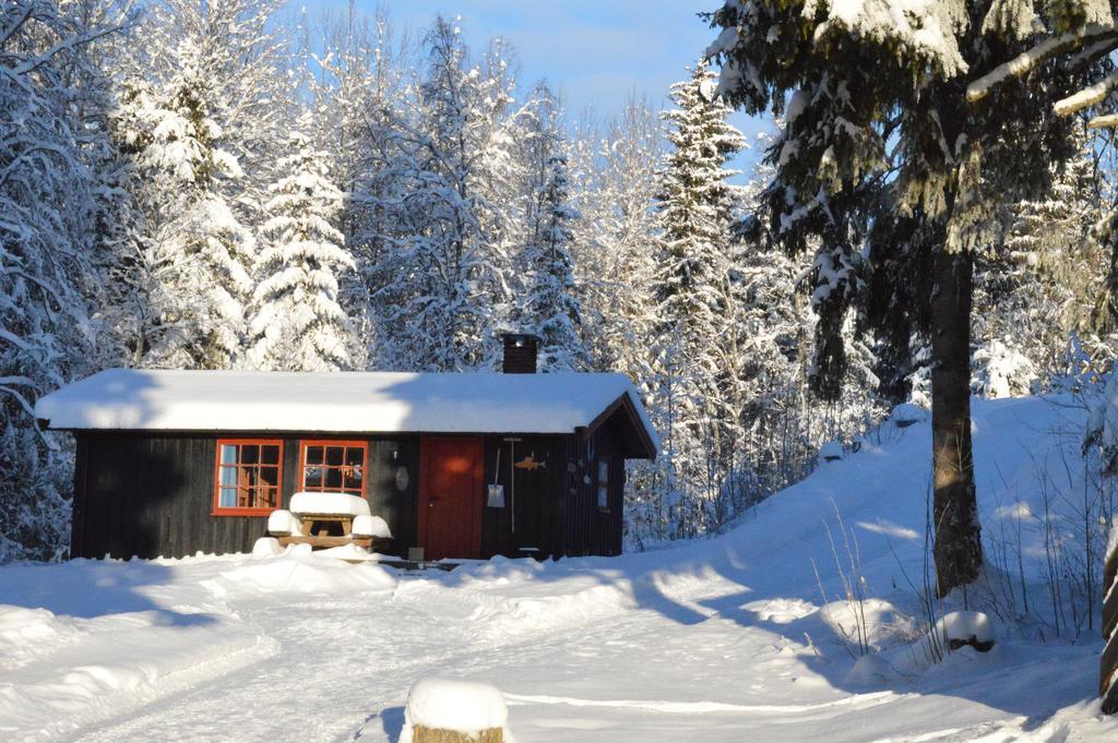 Trysil Hyttegrend エクステリア 写真